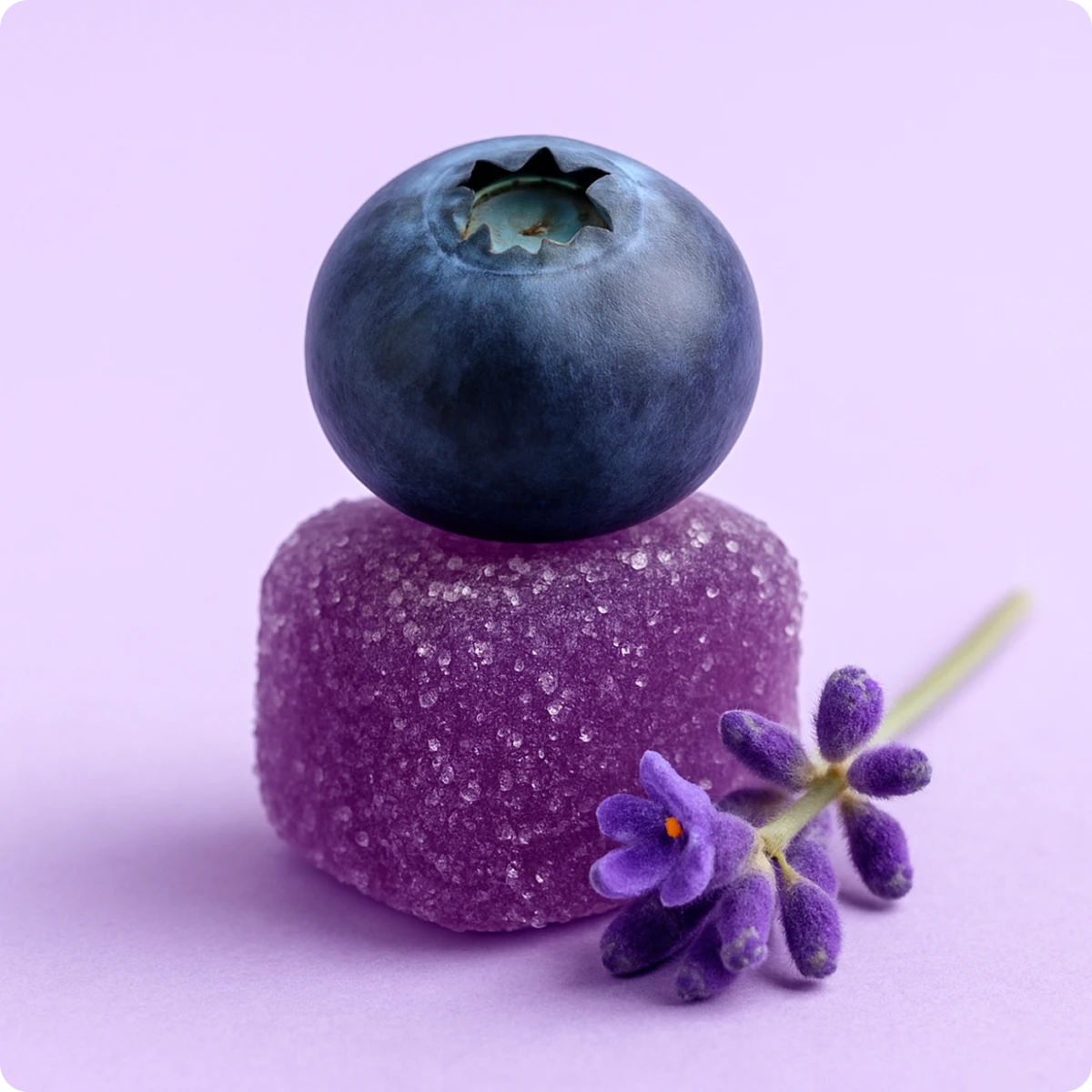 Gallery_photo_3.png