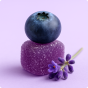 Gallery_photo_3.png
